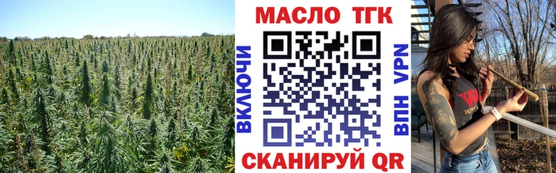 ТГК концентрат  Купить закладки  Кушва 