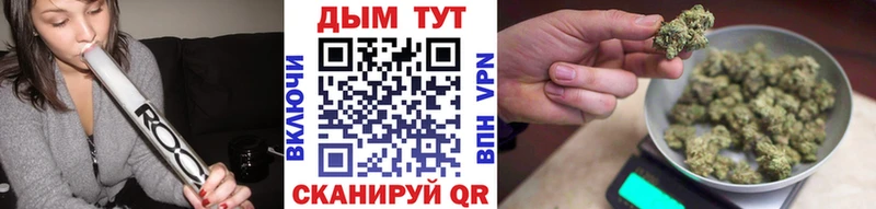 Купить закладки  Кушва  Каннабис Amnesia 